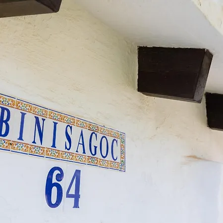 Binisagoc A